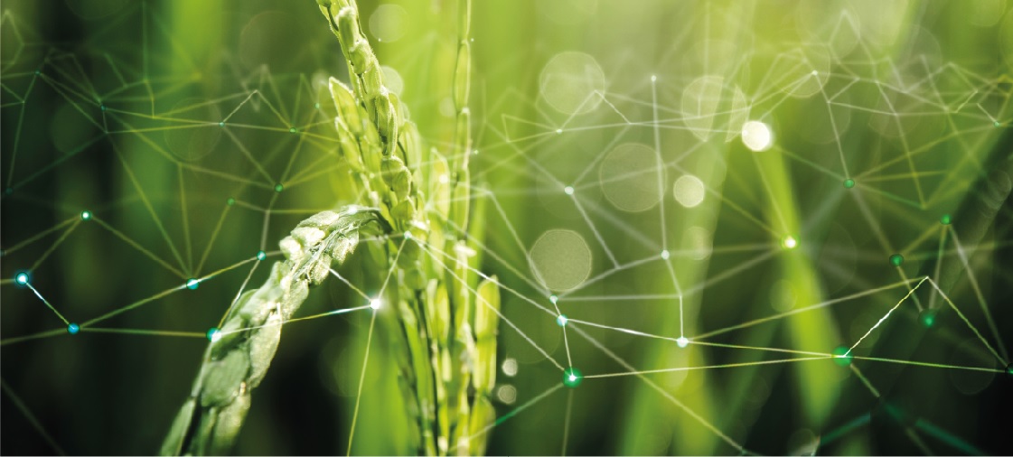 Valores que nos impulsan